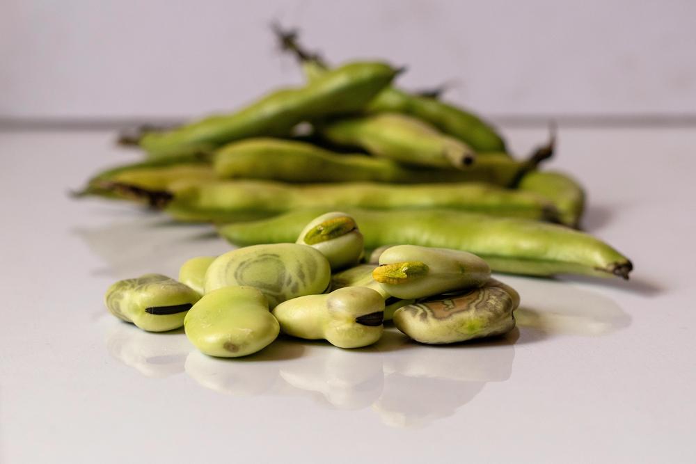 Broad beans