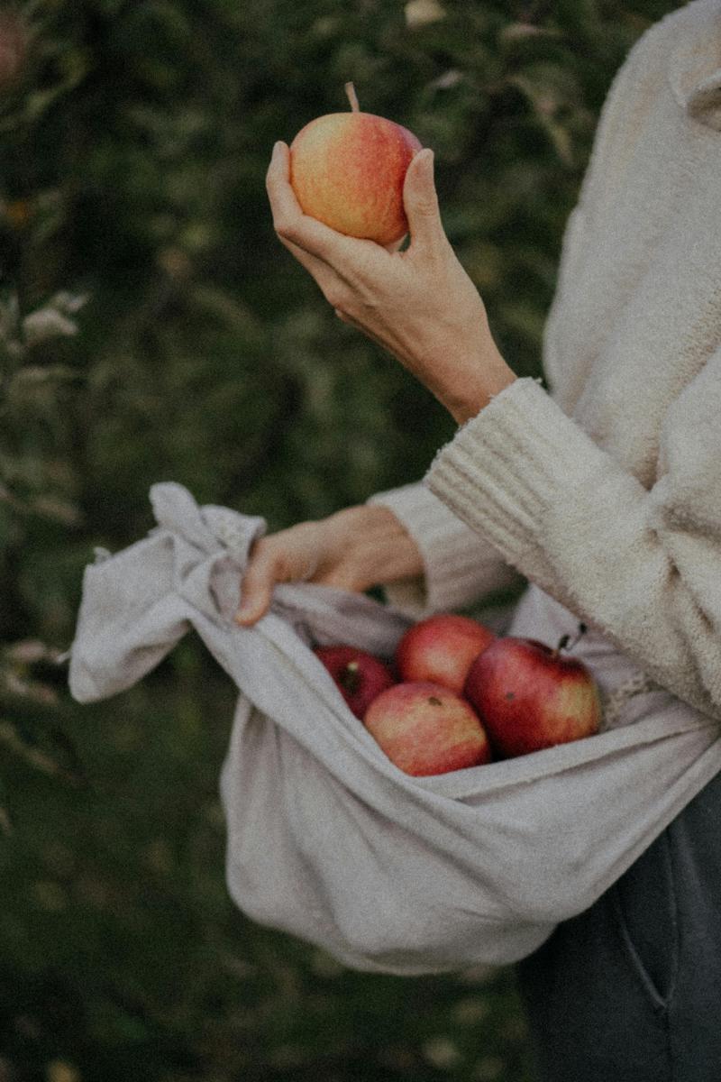 Fermenting apples