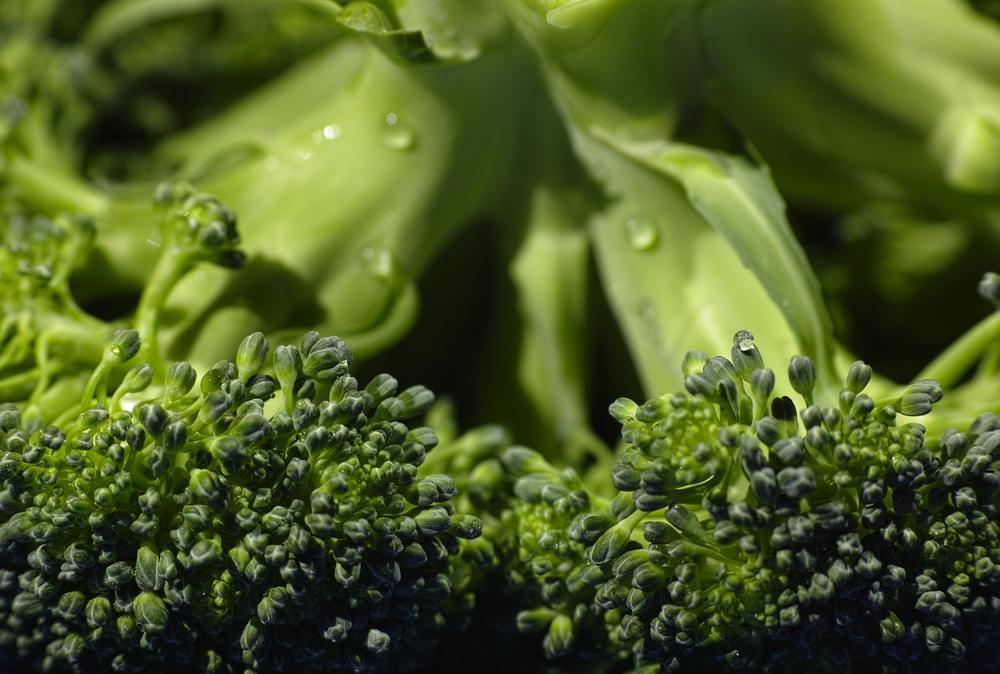 Steamed broccoli